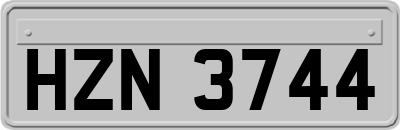 HZN3744