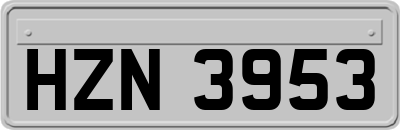 HZN3953