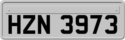 HZN3973