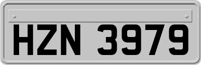HZN3979