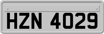 HZN4029