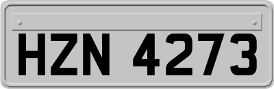 HZN4273