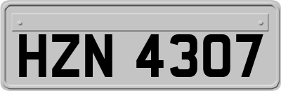 HZN4307