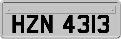HZN4313
