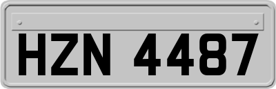 HZN4487