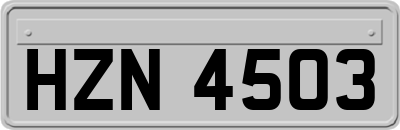 HZN4503