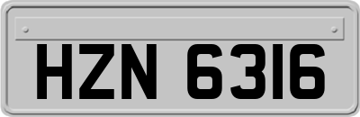 HZN6316