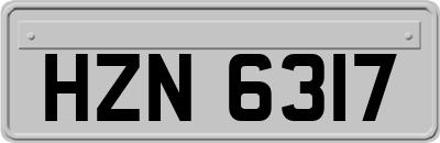 HZN6317