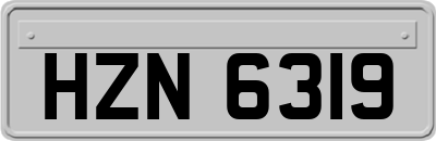 HZN6319