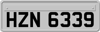 HZN6339