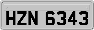 HZN6343
