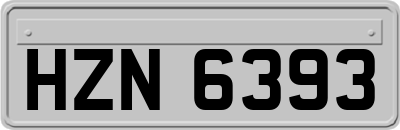 HZN6393