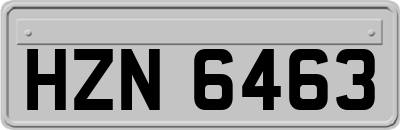 HZN6463