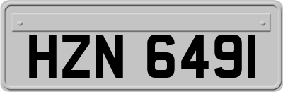 HZN6491