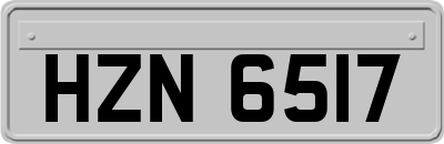 HZN6517