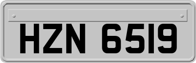 HZN6519