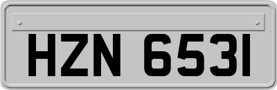 HZN6531