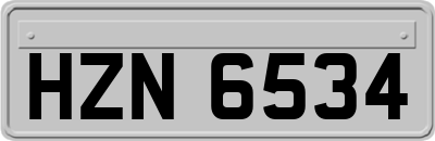 HZN6534