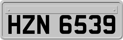 HZN6539