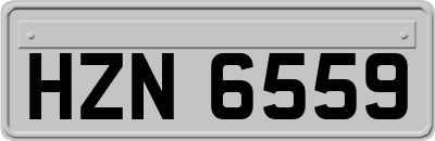 HZN6559