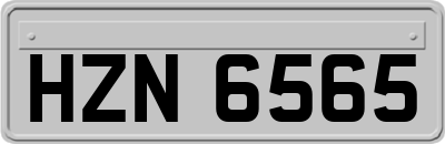 HZN6565