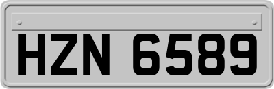 HZN6589