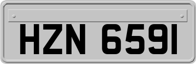 HZN6591