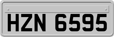 HZN6595