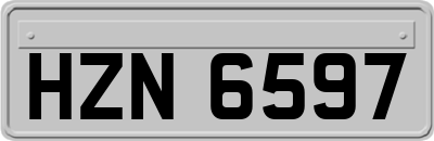 HZN6597