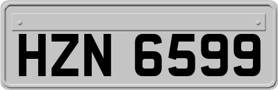 HZN6599