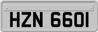 HZN6601