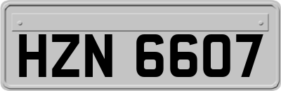 HZN6607