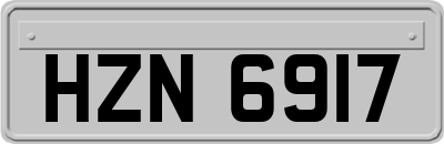 HZN6917