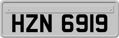 HZN6919