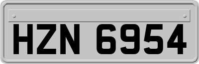 HZN6954