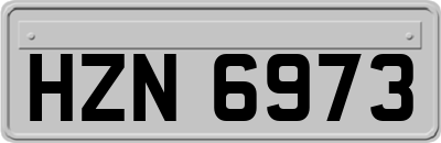 HZN6973