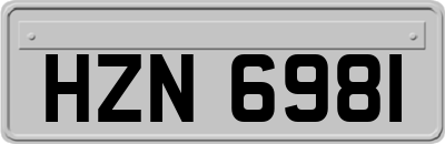 HZN6981