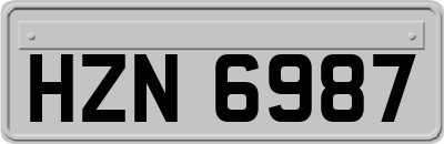 HZN6987