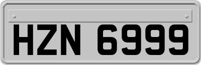 HZN6999