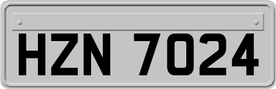 HZN7024