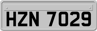 HZN7029