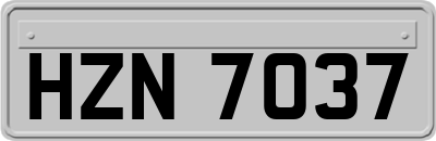 HZN7037