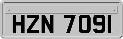 HZN7091