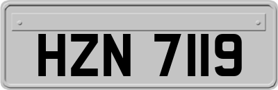 HZN7119