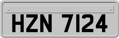 HZN7124