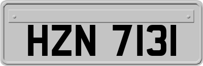HZN7131