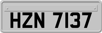 HZN7137