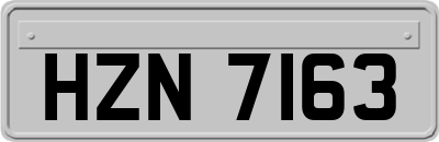 HZN7163