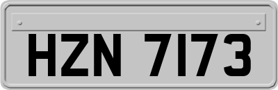 HZN7173