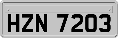 HZN7203